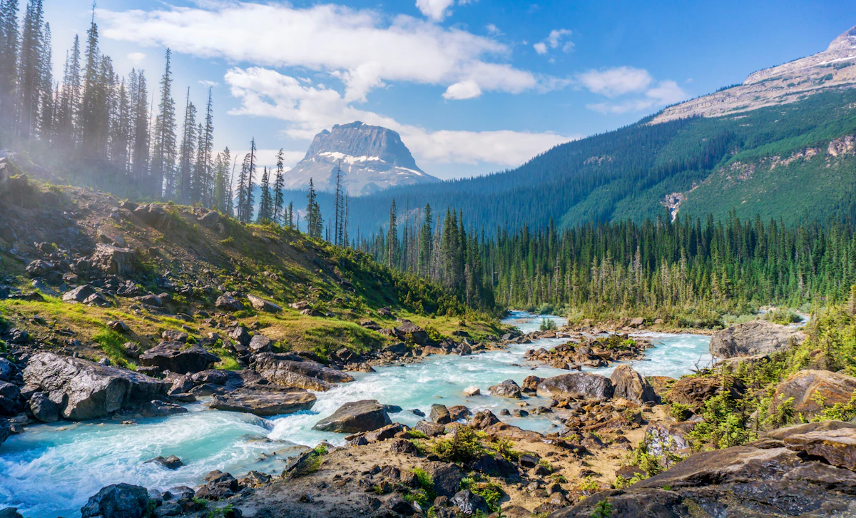 Rivière de montagne entre forêts de conifères et sommets
